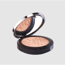 820 POUDRE PERFECTRICE ÉCLAT