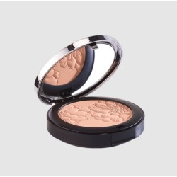 820 POUDRE PERFECTRICE ÉCLAT